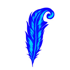 vector illustration of peacock feather