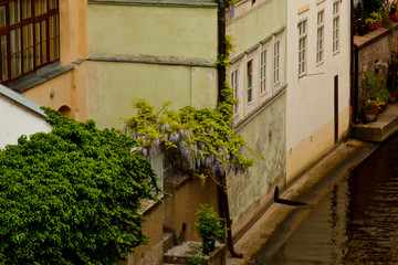 Prague. 05.10.2019: Street with houses of yellow and beige flowers, through which the small river Vltava flows. With a beautiful golden sunset.
