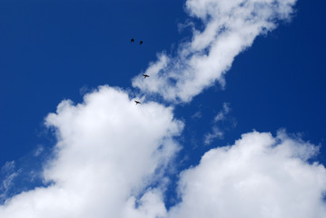 blue sky and white clouds