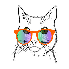 cat with rainbow glasses 