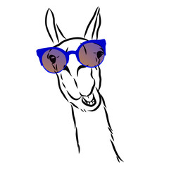 vector illustration of funny llama with rainbow glasses 