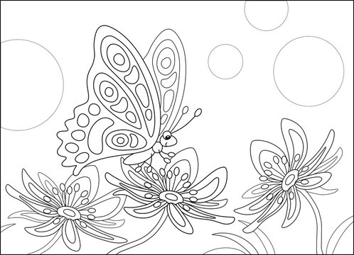 Ornate butterfly sitting on a beautiful flower in a summer garden, black and white vector cartoon illustration for a coloring book page