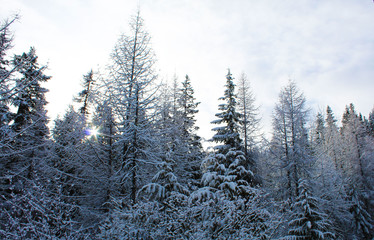 Mountains of Spokane Part 2