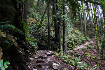 Hiking in Issaquah, WA