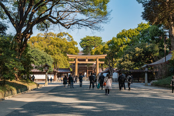 people walking in the park