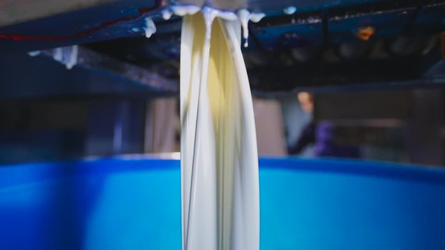 White paint is poured into a bucket, the process of pouring paint to the factories, the process of colorization in the factory