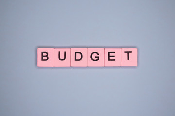 Budget word wooden cubes on blue background