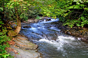 river in mountains Carpathians flows through rapids rocks on the shore
