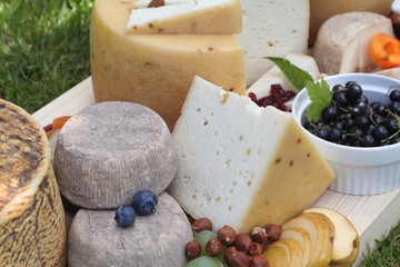 ser kozi dojrzewający