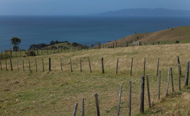 Fototapeta na wymiar Waiheke Island New Zealand Auckland Stony Batter Hills and coast