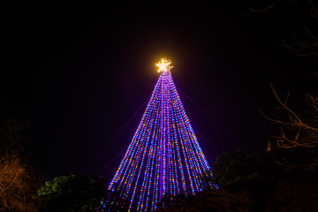Fototapeta na wymiar A Christmas tree in Austin, Texas. 