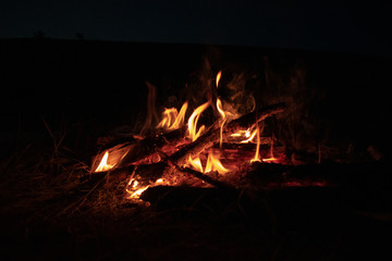 Bonfire 16