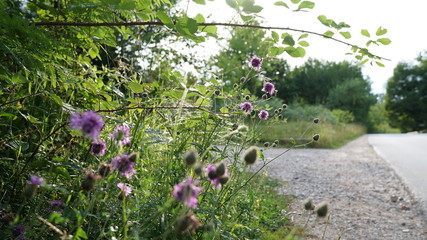 Plitvice Lakes National Park Croatia, beautiful nature, idyll