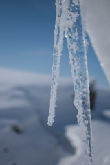 icicle 3