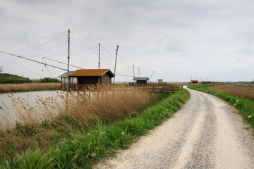 paesaggio nell'oasi dell'Ortazzo, nel delta del Po