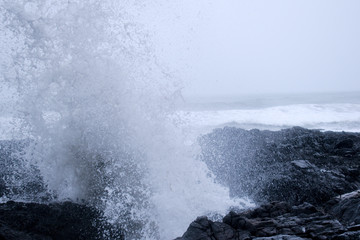 Sea Spray