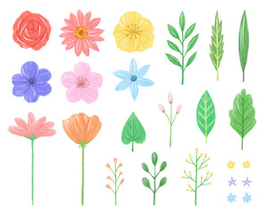 illustration set of water color flowers