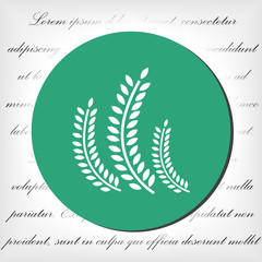 Settings vector icon , lorem ipsum Flat design