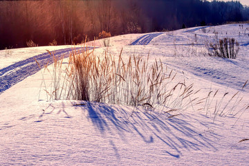 Frosty grass at winter and spring sunset in Russia. Beautiful background.