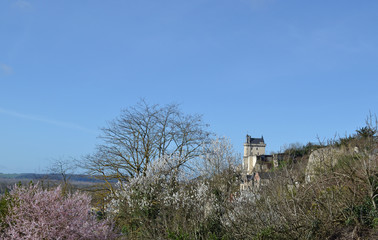 Fototapeta premium Château de Chinon