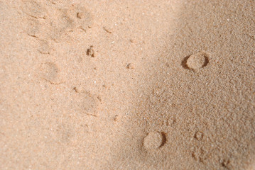 Golden Sand on the beach as background. Sand Texture. Golden sand. Background from fine sand.