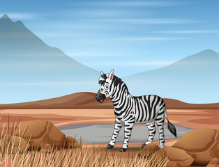 Cartoon a zebra living in dry land © dreamblack46