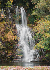 Fototapeta na wymiar colorful waterfall in the forest