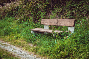 Old wooden bench near the road in the forest.