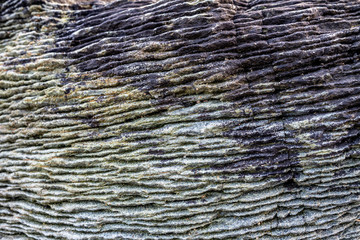 Kinnagoe bay in County Donegal, Inishowen has an extraordinary selection of colourful stones- Ireland