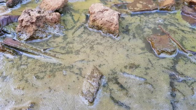 Dirty water in a silt with stones and rubbish. Environmental pollution