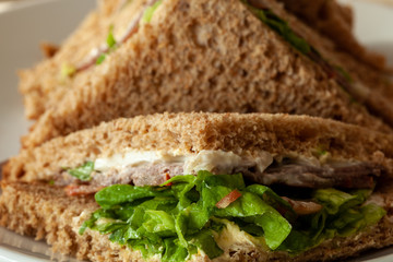 Freshly cut sandwiches with selective focus