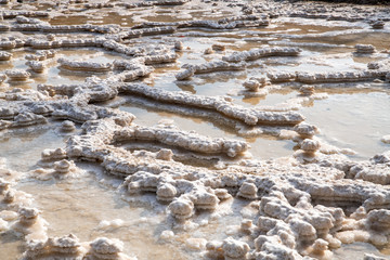 Dead sea salt unique textures