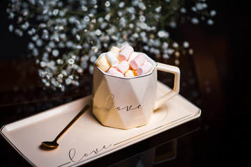 Hot chocolate with marshmallows and cookies served