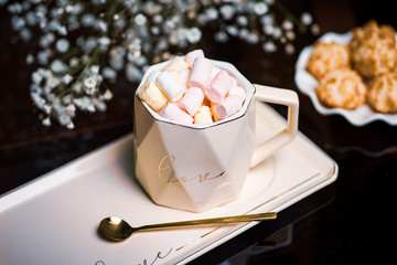 Hot chocolate with marshmallows and cookies served