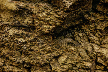 Close-up view of relief cliff in Georgia.