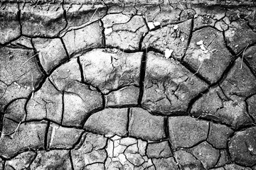 imágenes conceptuales, fotos blanco y negro, abstracto, cuarteaduras.