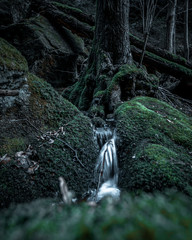 Wanderung von Rathewalde nach Wehlen Sächsische Schweiz 