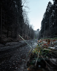 Wanderung von Rathewalde nach Wehlen Sächsische Schweiz 