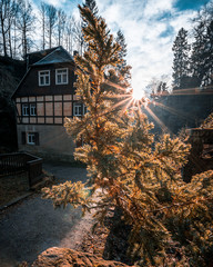Wanderung von Rathewalde nach Wehlen Sächsische Schweiz 