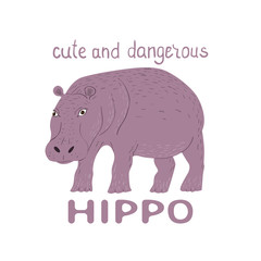Cartoon hippo with slogan Cute and Dangerous. Childish tee shirt design.