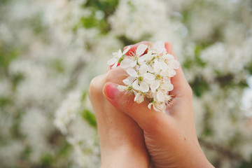 Woman holds spring tree blossoms