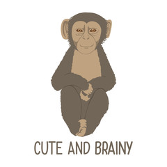 Cartoon monkey with text cute and brainy. Childish tee shirt design.