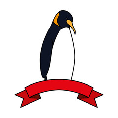 emperor penguin with ribbon on white background