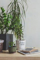 Workplace  home among plants in the home garden, the concept of freelance, work at home, a cozy place, slow life, mood background in scandy style