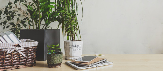 Workplace  home among plants in the home garden, the concept of freelance, work at home, a cozy place, slow life, mood background in scandy style