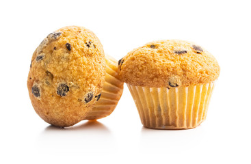 Sweet muffins. Cupcakes with chocolate.