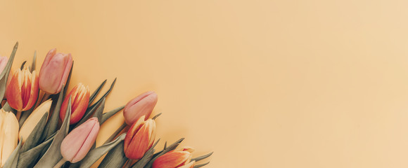 Banner with a bouquet of tulips on an orange background. Flat lay, top view with copyspace. International Women's Day, spring concept.