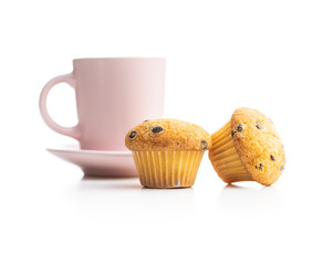 Sweet muffins. Cupcakes with chocolate.