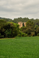 Fototapeta na wymiar Old farmhouse in forest followed by a field of grass, on a day of gray clouds, Collserola