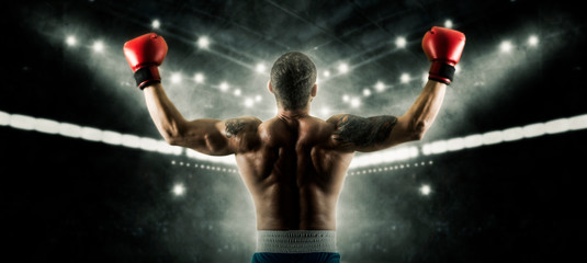 Boxer celebrating win on dark background. Sports banner